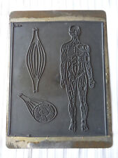 MULTI CROQUIS ANCIEN TAMPON