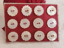 Rare petite plaque boutons anciens en nacre  1,2 cm  lot de 12 n°4L