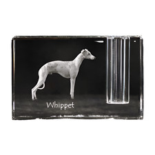 Whippet, Petit Anglais
