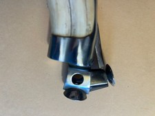 coupe cigare sur dent de sanglier