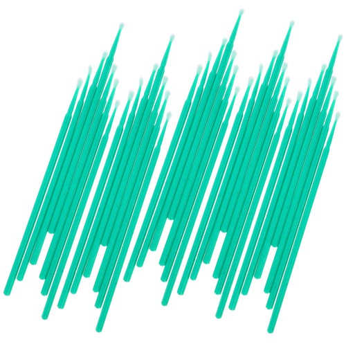 100pcs abergine pollinisor - abergine,