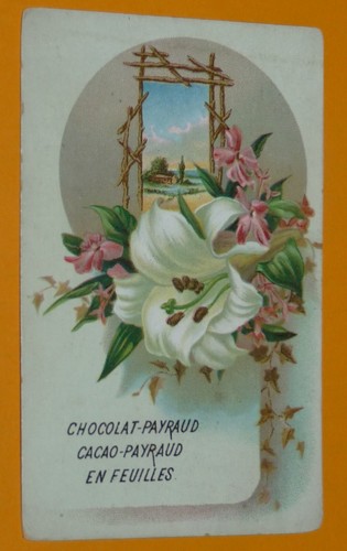 Chromo 1890 1910 - chromo, chocolat