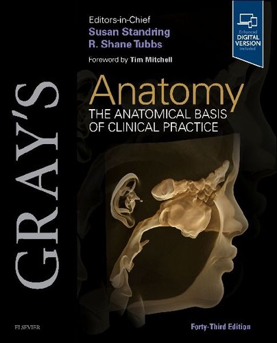 Gray anatomy the - gray's,