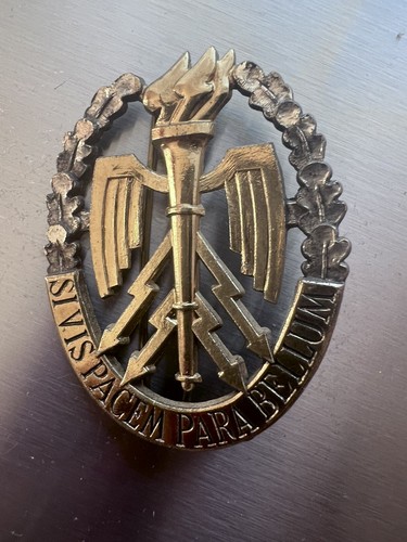 Original militaire insigne - original,