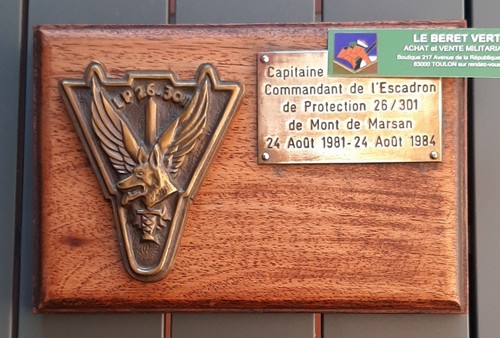 Plaque bronze chien cyno - chien,