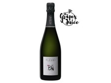 Fleury Blanc De Noirs Brut Champagne Biodynamique France