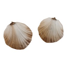 Paire d'appliques coquillages