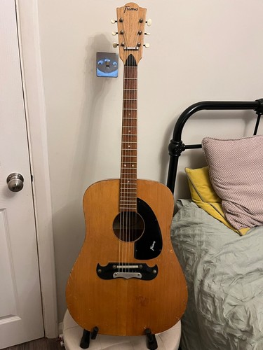 Beautiful vintage 1960s framus - 1960s,