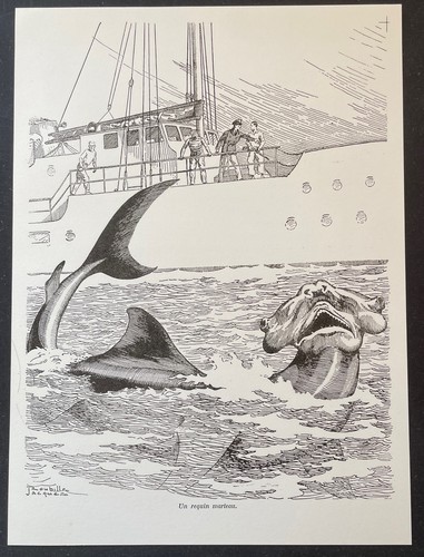 Requin marteau par jacques - un,