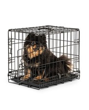 lionto Cage pour chats pliable et transportable 50x36x41 cm
