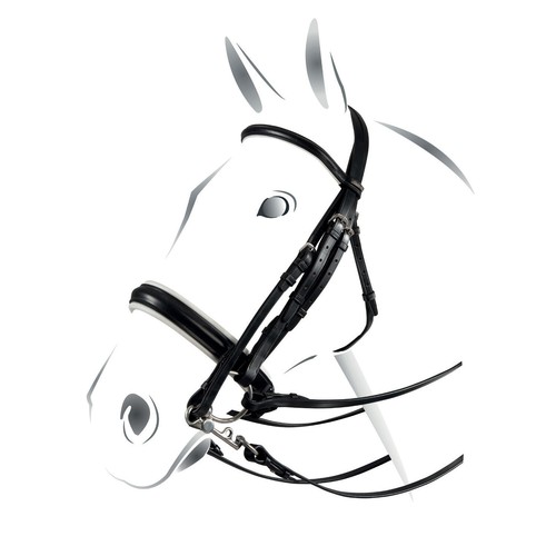 Bridle équestre dressage - Équestre,