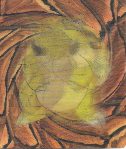 Carte plastifiée