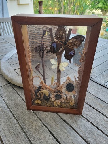 Cadre tableau - 🌾🦋🌾,