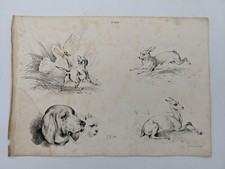 Lithographie : BICHE, LIEVRE