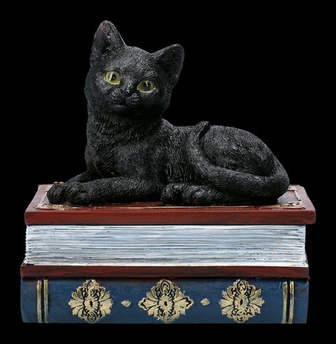 Coffret chats figurine sur - coffret,
