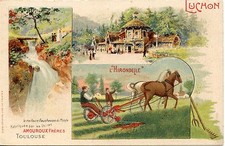 CARTE POSTALE PUBLICITAIRE AMOUROUX FRERES TOULOUSE / LUCON L'HIRONDELLE 