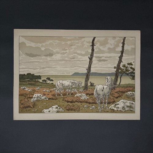 Lithographie par henri - lithographie,