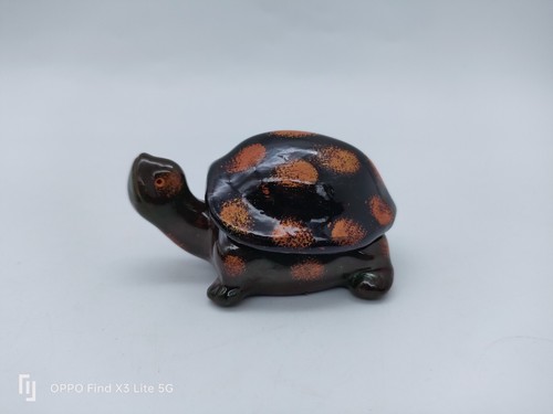 Petite boite tortue - en, terre