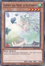 Yu-Gi-Oh! Esprit du Vent
