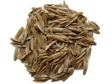 Ray-Grass Italien Bio - Lolium Multiflorum (Engrais Vert) - SEM06