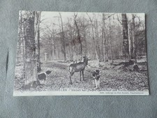 cpa       : Chasse à Courre