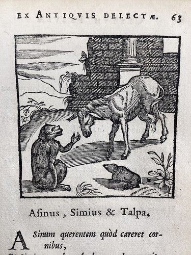 Singe 1682 gravure - 1682,