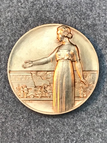 Médaille bronze doré la - médaille, doré,