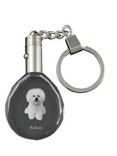 Bichon Frise, Bichon Frisé