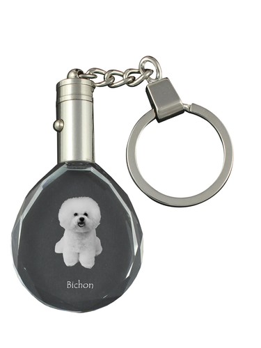 Bichon frise frisé - bichon,