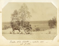 Attelage voiture cheval - attelage.,