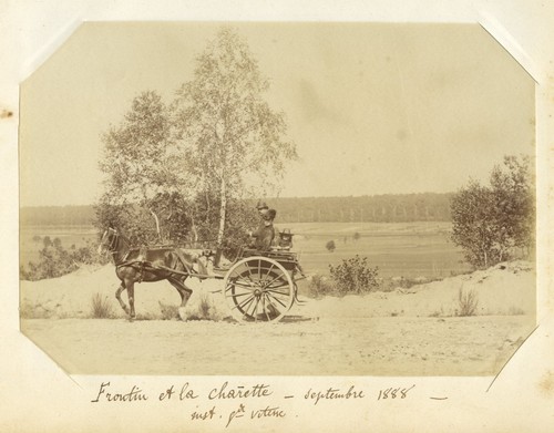 Attelage voiture cheval - voiture, à