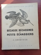 BECASSE, BECASSINES ET PETITS