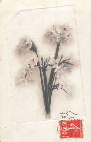 Cadre relief belles fleurs - cadre,