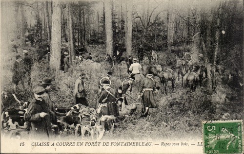 Chasse courre forêt - chasse, à