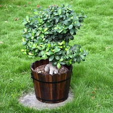 Pot de fleurs en bois pour