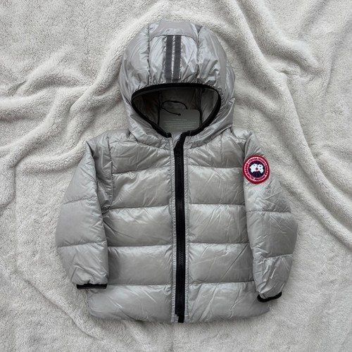 Canada goose silverbirch - canada,
