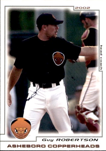 2002 asheboro copperheads - asheboro,