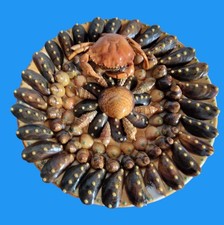 Plat vernissé barbotine