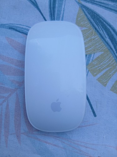 Souris apple mouse model - mouse,