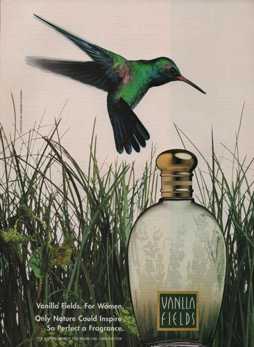 Publicité papier parfum - publicité,