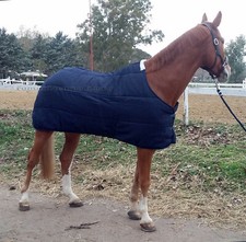 Dessous Couverture pour Cheval