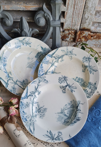 Anciennes assiettes creuses - 3,
