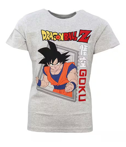 Shirt pour garçon dragon - pour,