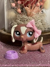 🌸 Petshop Chien Teckel 1631