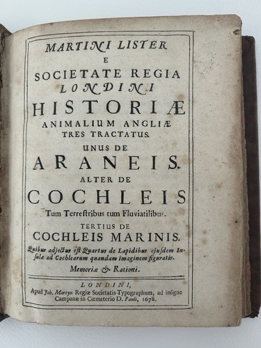 Martin lister aeranis - martin,