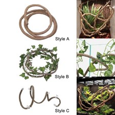 Terrarium Reptile Vignes