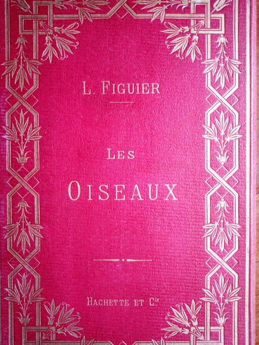 1882 les oiseaux - -,