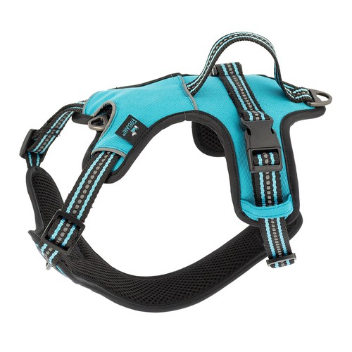 Harnais dynamic turquoise - turquoise,