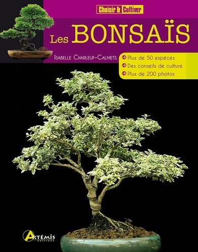 Les bonsaïs isabelle - bonsaïs,