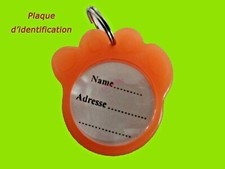 PLAQUE IDENTIFICATION EN